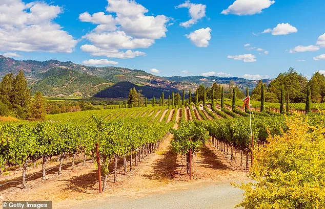 Lindsay Hoopes' Winery at Center of $4 Million Legal Dispute Over Regulatory Violations