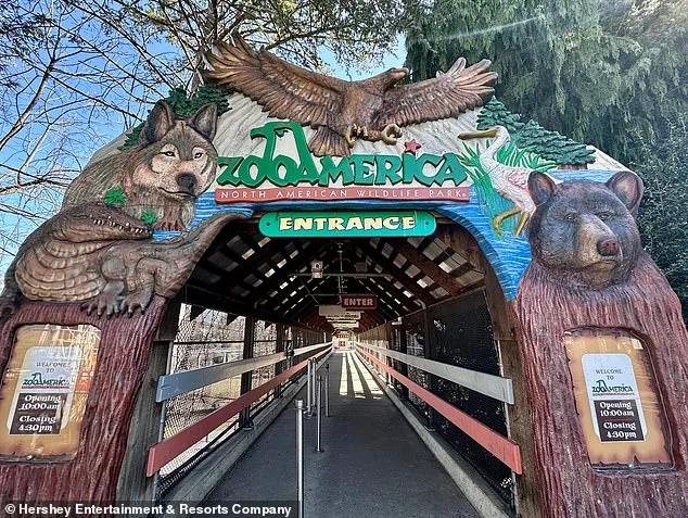 Toddler's Hand Grabbed by Wolf at Hersheypark Zoo; Parents Charged with Neglect