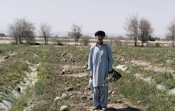 Fuel Price Surge Sparks Crisis for Balochistan's Watermelon Farmers