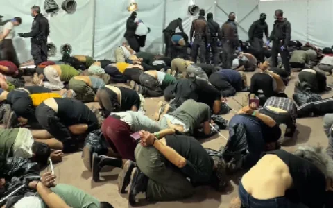 Hundreds of pro-Palestinian activists deported after flotilla interception and graphic detainee video.